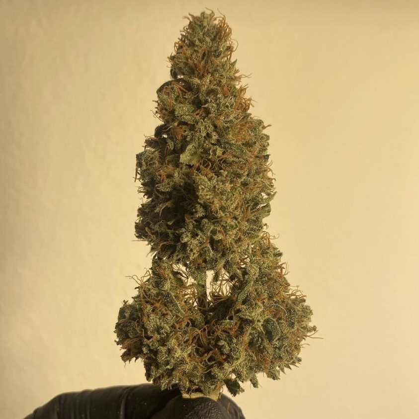 Amnesia Haze
