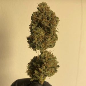 NYC Diesel